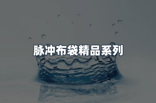 脉冲布袋精品系列