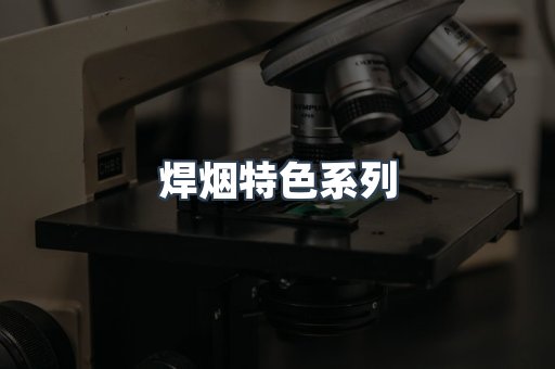 焊烟特色系列